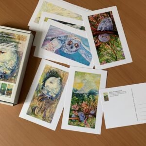 Doosje ansichtkaarten “Uilen in een kleurig bos”